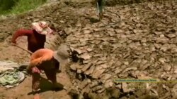 ကမ္ဘောဒီယားကလေးလုပ်သား