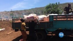 Batata de Moçambique está a ser vendida como malawiana