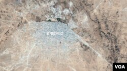 Ceerigaabo