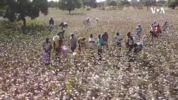 Burkina Faso Child Labor -- USAGM