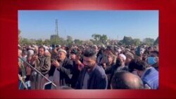 د ډیوه د روانو چارو خپرونه په ټي وي
