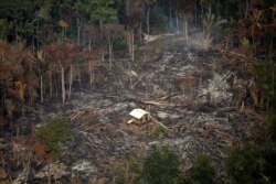 An aerial view shows a deforested plot of the Amazon near Porto Velho, Rondonia State, Brazil, Sept. 10, 2019.
