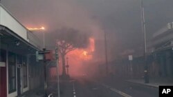 Požar u Lahaini (Foto: Alan Dickar via AP)