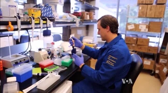 Gene Editing Shows Promise for Curing Genetic Disease