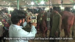 Meat Prices Spike as Pakistan Prepares to Celebrate Eid