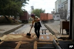 A worker cleans grain after trucks unloaded in a grain elevator in Melitopol, south Ukraine, Thursday, July 14, 2022.