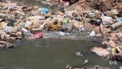 Wastewater Recycling Coud Be Model for Urban Slums