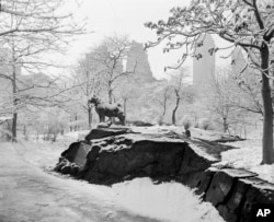 FILE - The statue erected to honor "Balto" and other heroic sled dogs who carried serum to Nome, Alaska, through an Arctic blizzard is covered in snow in New York's Central Park, Dec. 11, 1947.