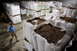 FILE - Buck Paulk walks through his warehouse storing pecans at Shiloh Pecan Farms in Ray City, Ga., June 21, 2018. Paulk estimates that more than 50% of his pecans are exported, China being one of the main recipients.