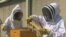 FILE - Honeybee colonies may be making a comeback after a rough year of losses.