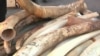 US Authorities Crush Ivory to Send Anti-Poaching Message