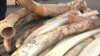 Zimbabwe Lobbying USA on Lifting of Ivory Trade Ban