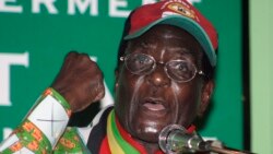 Zanu PF's Believe Gaule Says Zimbabweans Are Happy Under Mnangagwa Rule