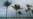 Bahamas Military Detains 70 Haitian Migrants From Sailboat