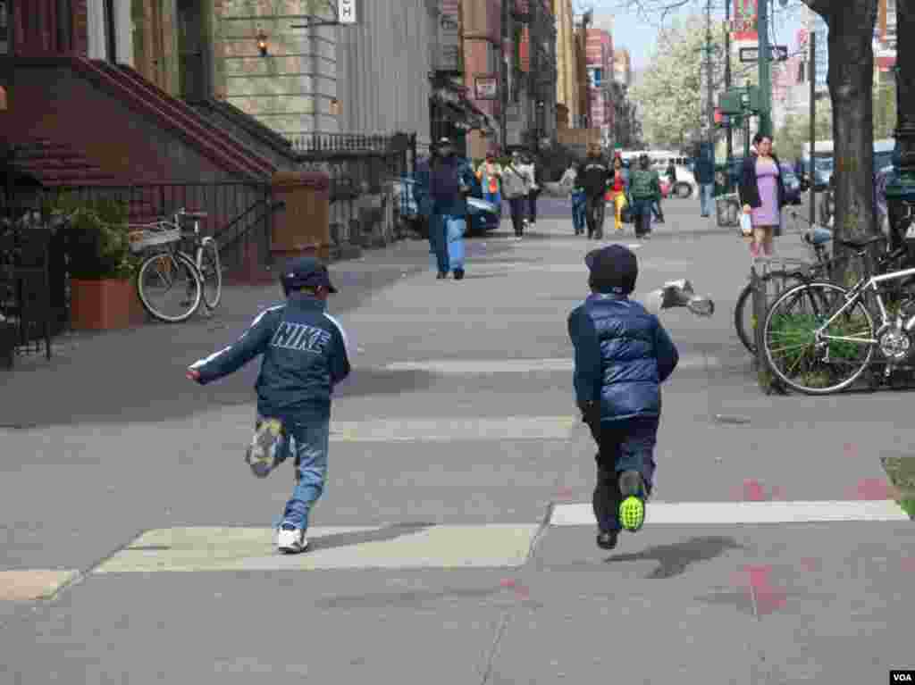 Max Desmarais, Fly Runners 