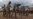 Latihan Militer 13 Negara Digelar di Australia