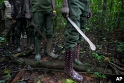 FILE - Forest rangers line up as they look for poachers inside the Omo Forest Reserve in Nigeria on Wednesday, Aug. 2, 2023.