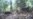 ‘Elusive’ Bush Dog Caught on Camera