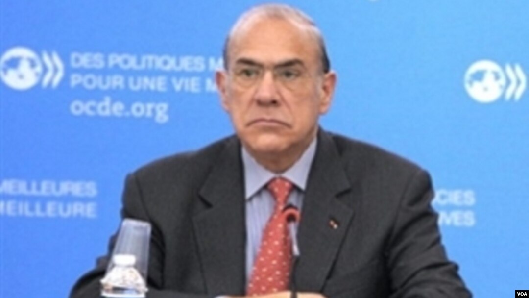 Sekjen OECD, Angel Gurria mengatakan nasib perekonomian regional sangat berbeda-beda di seluruh pelosok dunia (foto: dok).