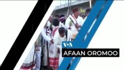 Tamsaasa Guyaadhaa Guyyaa