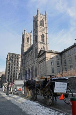 Horse-drawn carriages line up in front of the Notre Dame basilica in Old Montreal, waiting for tourists in Montreal, Quebec, Canada, Dec. 22, 2019.