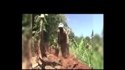 Fuko la kusafisha maji Kenya