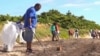 Foreign Diplomats and U.S. Officials Clean a Florida Beach