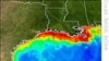 Biofuels Unravel Efforts to Shrink Gulf Dead Zone