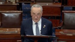 US Senate Majority Leader Chuck Schumer Calls on Israel to Hold New Elections