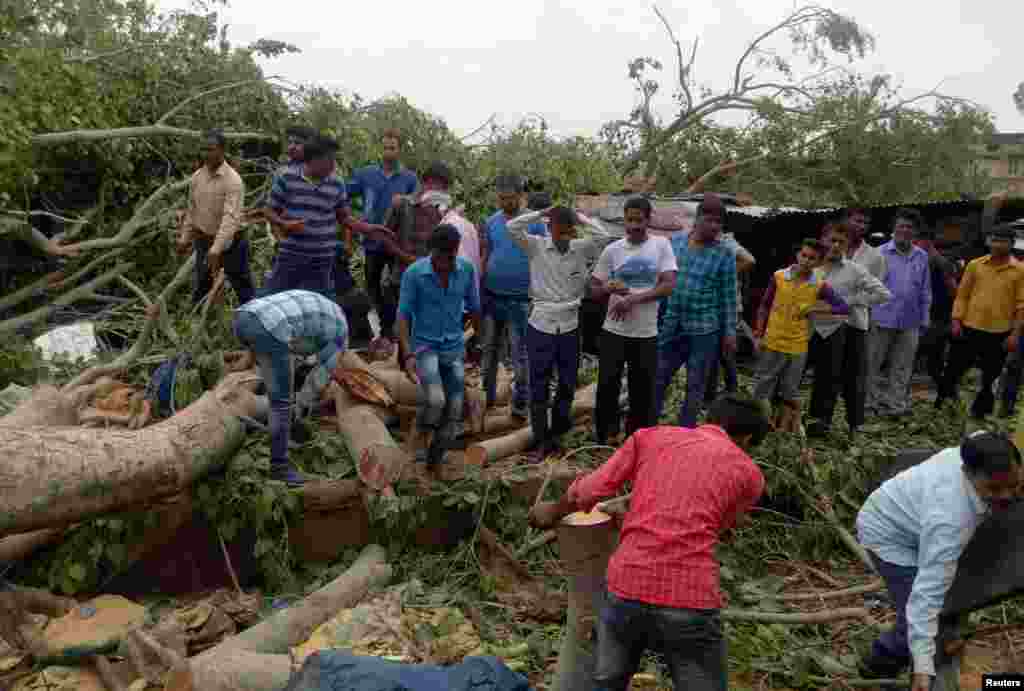 Des troncs d&#39;arbres ont été déracinés après des vents violents et une tempête de sable à Alwar, dans l&#39;état de Rajasthan, en Inde, le 3 mai 2018.