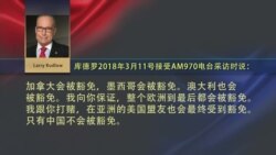 VOA连线(黄耀毅)：新任白宫经济顾问库德罗：中国将是唯一被征收关税的国家