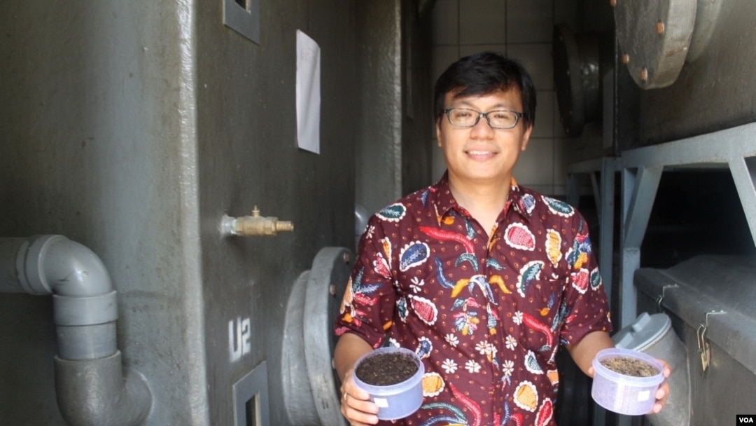 Yunus Fransiscus menunjukkan hasil pupuk organik dari feses atau kotoran manusia di dalam storage room Ubaya Training Center, Trawas, Mojokerto, Jawa Timur, Rabu (15/4). (VOA/Petrus Riski)