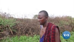 Male Campaigner Seeks to End FGM in Kenya's Maasai Community
