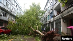 台风利奇马袭击浙江台州 （2018年8月10日）