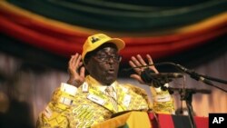 津巴布韋總統穆加貝(資料圖片)