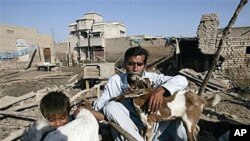 Flood survivor Kalo Jamali sits with his goats and a child in remains of his house destroyed by floods in the village Khairpur Nathan Shah, Pakistan, which is still surrounded by floodwaters, Nov 2, 2010