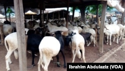 Kasuwar ragunan layya