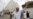 Iran Sends Navy Vessels to Yemen Amid Airstrikes