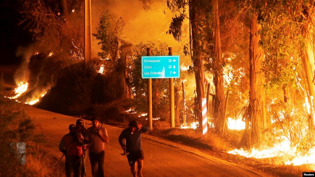 Kebakaran hutan di kota Hualane, di pinggiran kota Curico, bagian selatan Chile (21/1). (Reuters/Cristobal Hernandez)