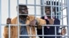 FILE - Opposition leaders Kizza Besigye and Hajj Obeid Lutale stand in a steel dock at the Uganda Military General Court in Makindye, a suburb of Kampala, Uganda, on Dec. 2, 2024.