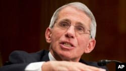 Dr. Anthony Fauci memberikan kesaksian tentang virus Zika di depan para anggota DPR AS di Washington DC bulan Februari lalu (foto: dok).