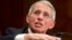NIH National Institute of Allergy and Infectious Diseases Director Anthony Fauci testifies on Capitol Hill in Washington, Feb. 11, 2016.