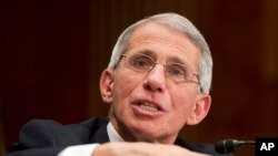FILE - NIH National Institute of Allergy and Infectious Diseases Director Anthony Fauci.