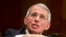 FILE - NIH National Institute of Allergy and Infectious Diseases Director Anthony Fauci.