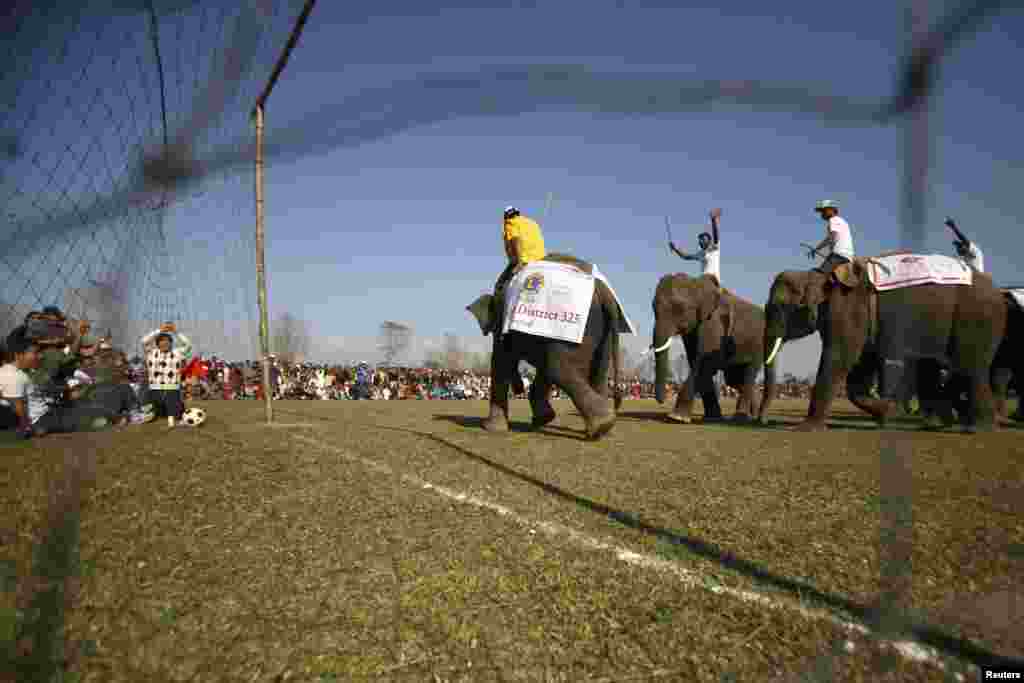 نیپال میں ہاتھی کھیل کے میدان میں