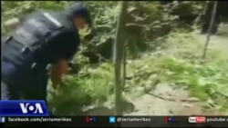 Polemika në Shqipëri për situatën e luftës ndaj lëndëve narkotike