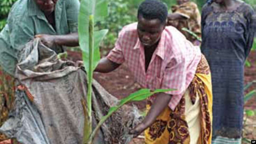 Bread for the World says women farmers need equal rights and equal access to resources.