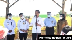 Presiden Joko Widodo meninjau aktivitas panen padi di kawasan pertanian yang berada di Desa Wanasari, Kecamatan Bangodua, Kabupaten Indramayu, Jawa Barat, pada Rabu, 21 April 2021. Foto: Lukas - BPMI Setpres