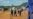 Court Grants Bail 25 Arrested Chingwizi Villagers
