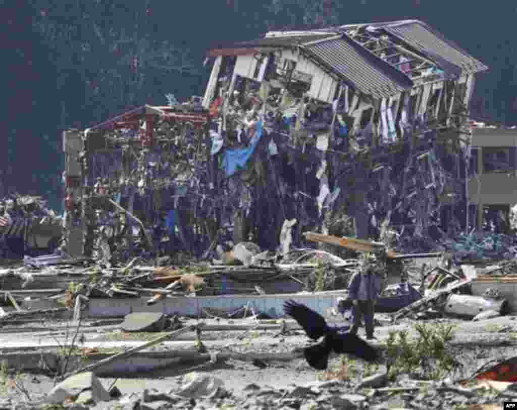 A bird flies in front of damaged buildings in Minamisanriku town, Miyagi Prefecture, northern Japan, Monday, March 14, 2011, three days after a powerful earthquake-triggered tsunami hit the country's east coast. (AP Photo/The Yomiuri Shimbun, Hiroaki Ono)